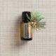 Siberian Fir Essential Oil with the needles.