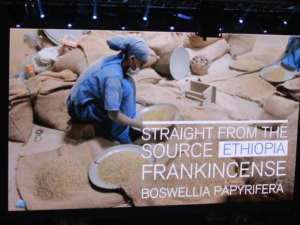 Frankincense Essential Oil