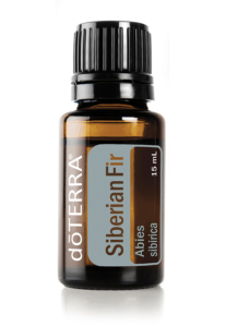 Essential oil of Siberian Fir Trees