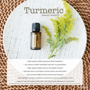 Turmeric plant and bottle of essential oil of turmeric