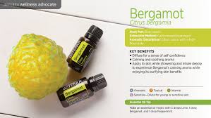 Bergamot essential oil