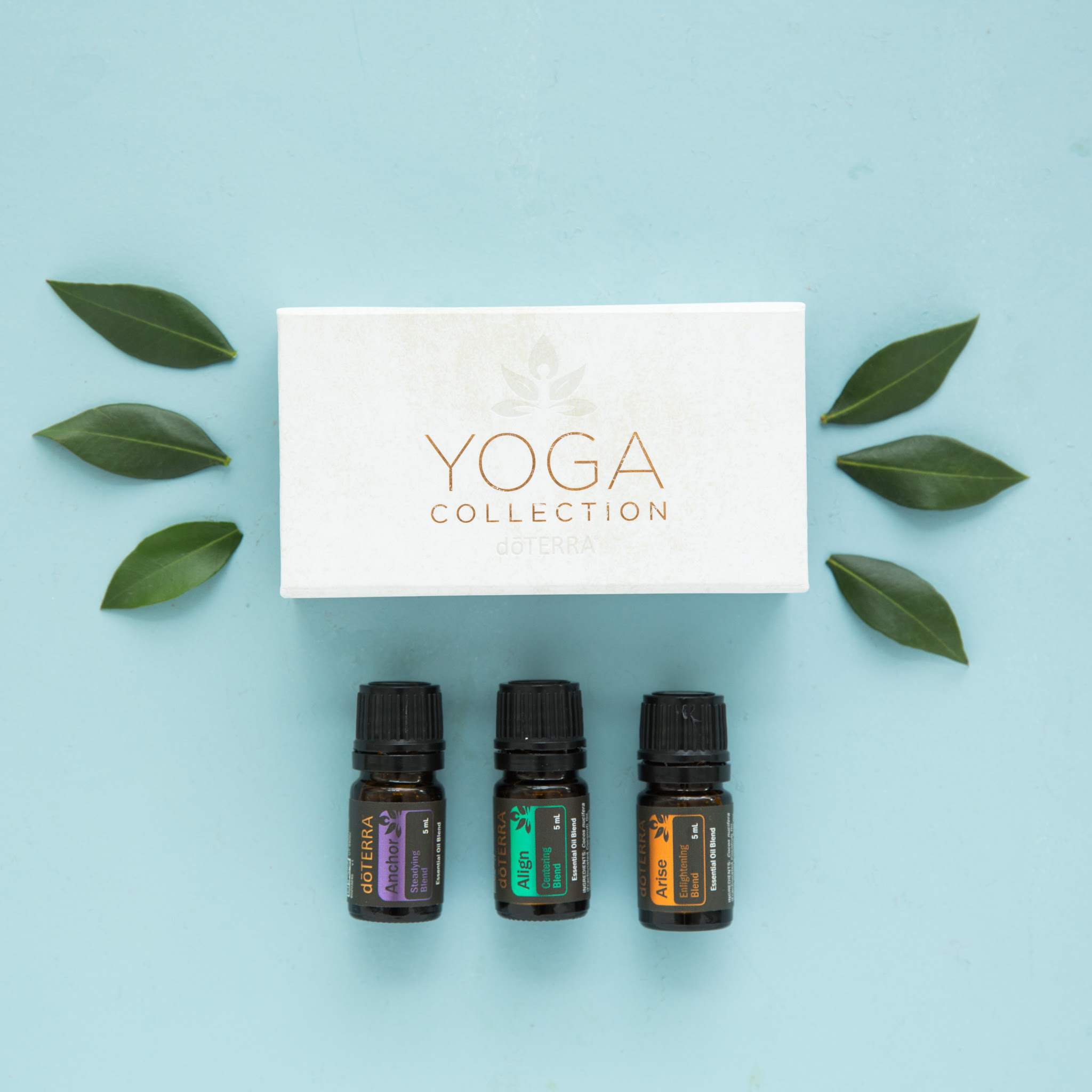 Yoga Collection of Essential Oils oilMD
